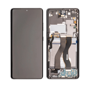 Samsung Galaxy S21 Ultra 5G - Écran OLED avec Cadre